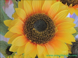 ҹѴ͡Թ Shanel LK Flower Hua Hin Thailand